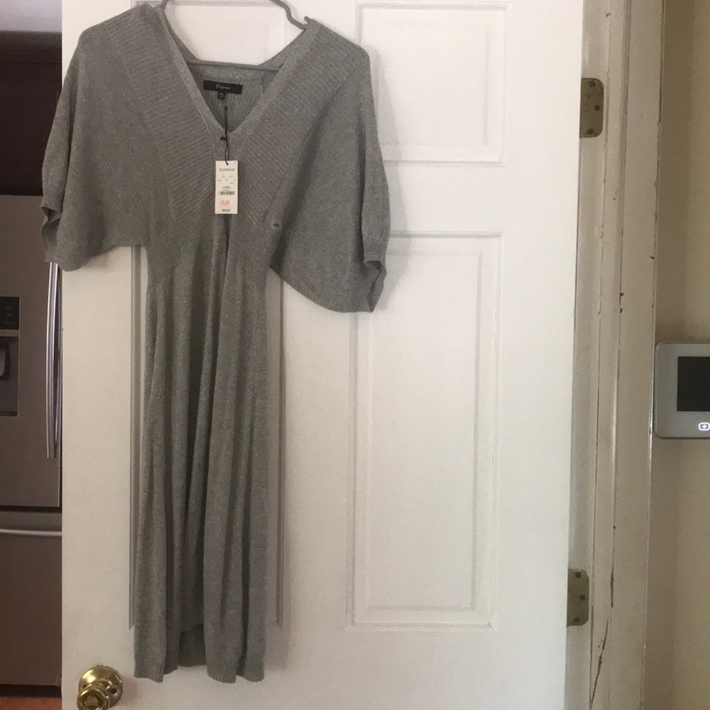 Express women’s knit dress